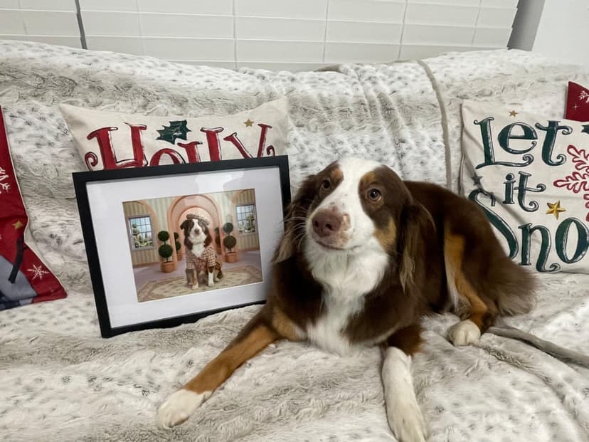 Shakira - Beautiful Pet Portrait Result